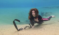 Springs Day Turned Disaster 1080p