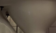 excretion and peeing on a beautiful day