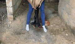 Stuck Jeanette: Adventures in the Old HouseSD