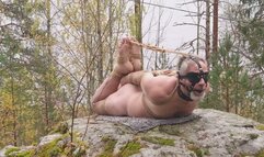 Naked outdoor hogtied