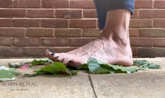 Giantess crushes leaves