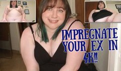 Risky Cheating with BBW Ex-GF at Party 4K Version