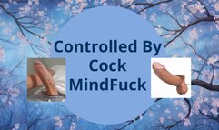 Controlled By Cock MindFuck