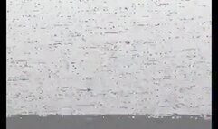 Ava Onyx's Bizarre Love Triangle