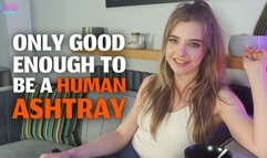 Only Good Enough to Be a Human Ashtray - Gabie