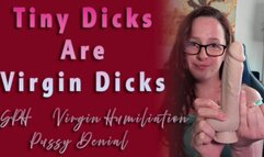 Tiny Dicks Are Virgin Dicks