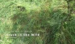 Stuck in the Wild