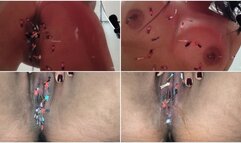 humiliates a tiny family