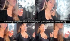 Smoking two cigarettes in the morning natural light (newport and camel blue)