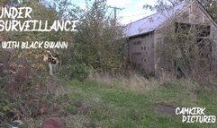 Under Surveillance with BlackSwann