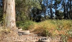 VS383 Stop to fuck you