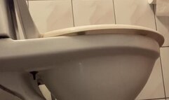 Great diarrhea, every now and then a new surprise falls out of the big ass like a cannon!