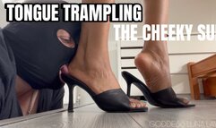 Tongue TRAMPLING the cheecky sub