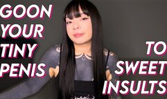 Goon Your Tiny Penis To Sweet Insults