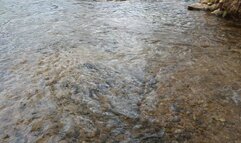 Fifi wearing socks with her sandals and getting them wet in the creek