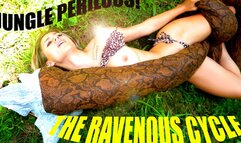 Jungle Perilous! - The Ravenous Cycle (starring Vixen and Zive Fey)