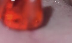 Sloane Swallows Gummy Bears