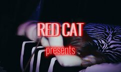 Stranger Cums Same Moment When Push His Big Dick Into Mature Tight Slut ???? Inseminate Her!