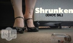 Shrunken: Idiot SiL