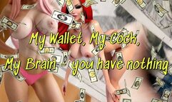 My Wallet, My Cock, My Brain - you have nothing