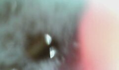 Spaghetti in my Stomach