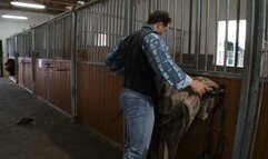 Fabulous woman rewards the stable boy