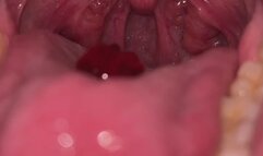 Up Close Gummy Swallow