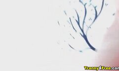 Horny Shemale Duo Fucked and Sucked Each Cock