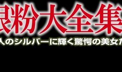 BGG-008 Silver Powder Complete Collection Volume 2: 12 Astonishing Beauties Shining In Silver!