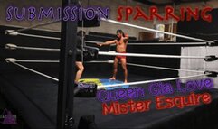 Submission Sparring (MP4 1080P)
