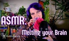 ASMR: Melting your Brain