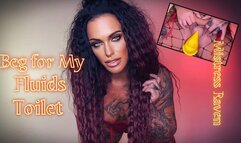 BEG FOR MY FLUIDS TOILET