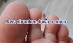 Boss shrunken down to micro