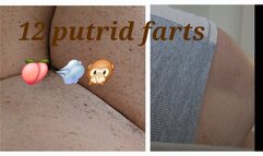 12 PUTRID FARTS