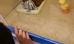 FC2-PPV 2063055 JAV Uncensored