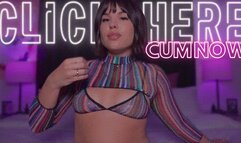 CLICK HERE TO CUM NOW