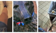 ASMR TRAVELS FROM STORE TO STORE OUTDOORS FEEDINGS OF ELIXIR AND FARTS