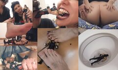 Crushing a toy The Undertaker