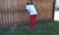 Daisey Walks And Dangles