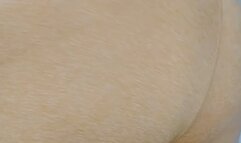 Yellow Leggings- Fart Compilation