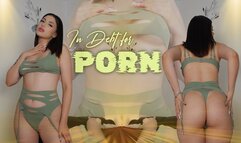 In Debt for Porn