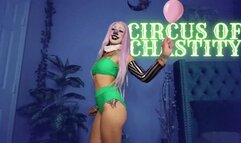 Circus Of Chastity