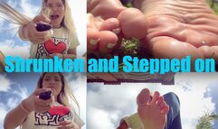 Shrunken and Stepped on - New Giantess Genesis 720