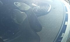 Sweaty Black pantyhose