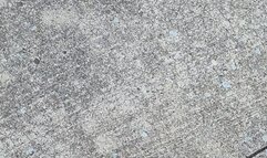 Tempest walking to bus stop