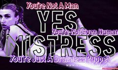 Brainless Bitch Puppet Controlled By Beta Porn Clips