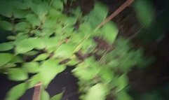 Giantess Vs Tiny Village 1080