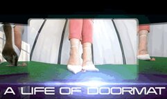 CC - Crushed face, shiny pumps