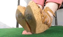 CC - Dusty Humiliation