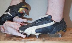 Puma V-Kon SG zertreten ein Suppenhuhn (2)